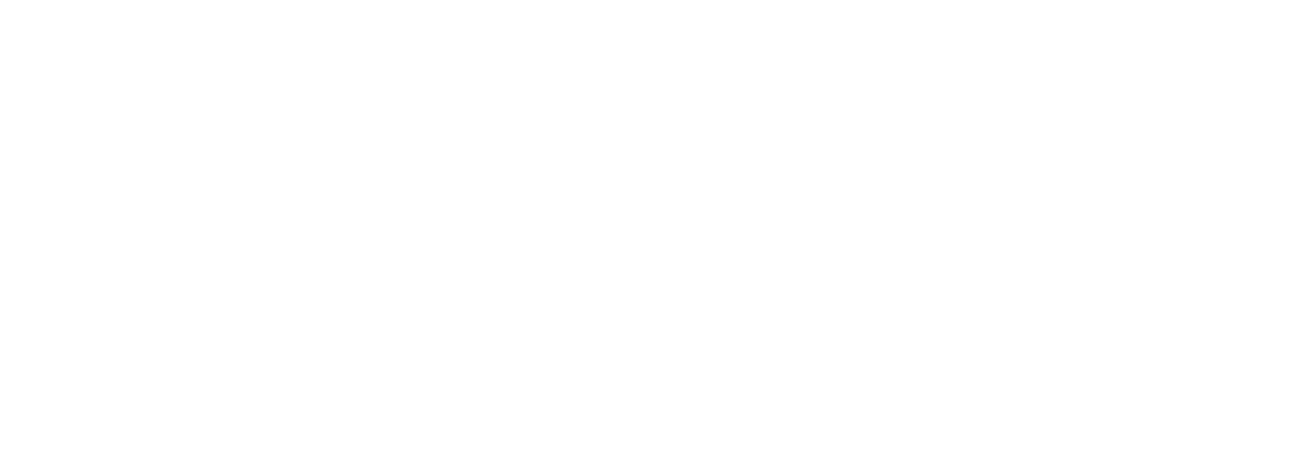 EPEVER Remote Monitoring Devices